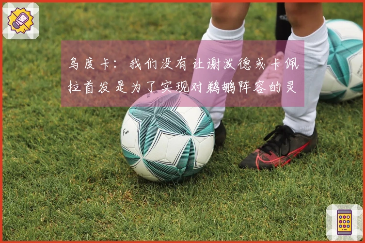 乌度卡：我们没有让谢泼德或卡佩拉首发是为了实现对鹈鹕阵容的灵活换防