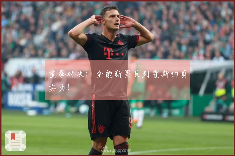 重拳对决：全能新星瓦列霍斯的真实力！